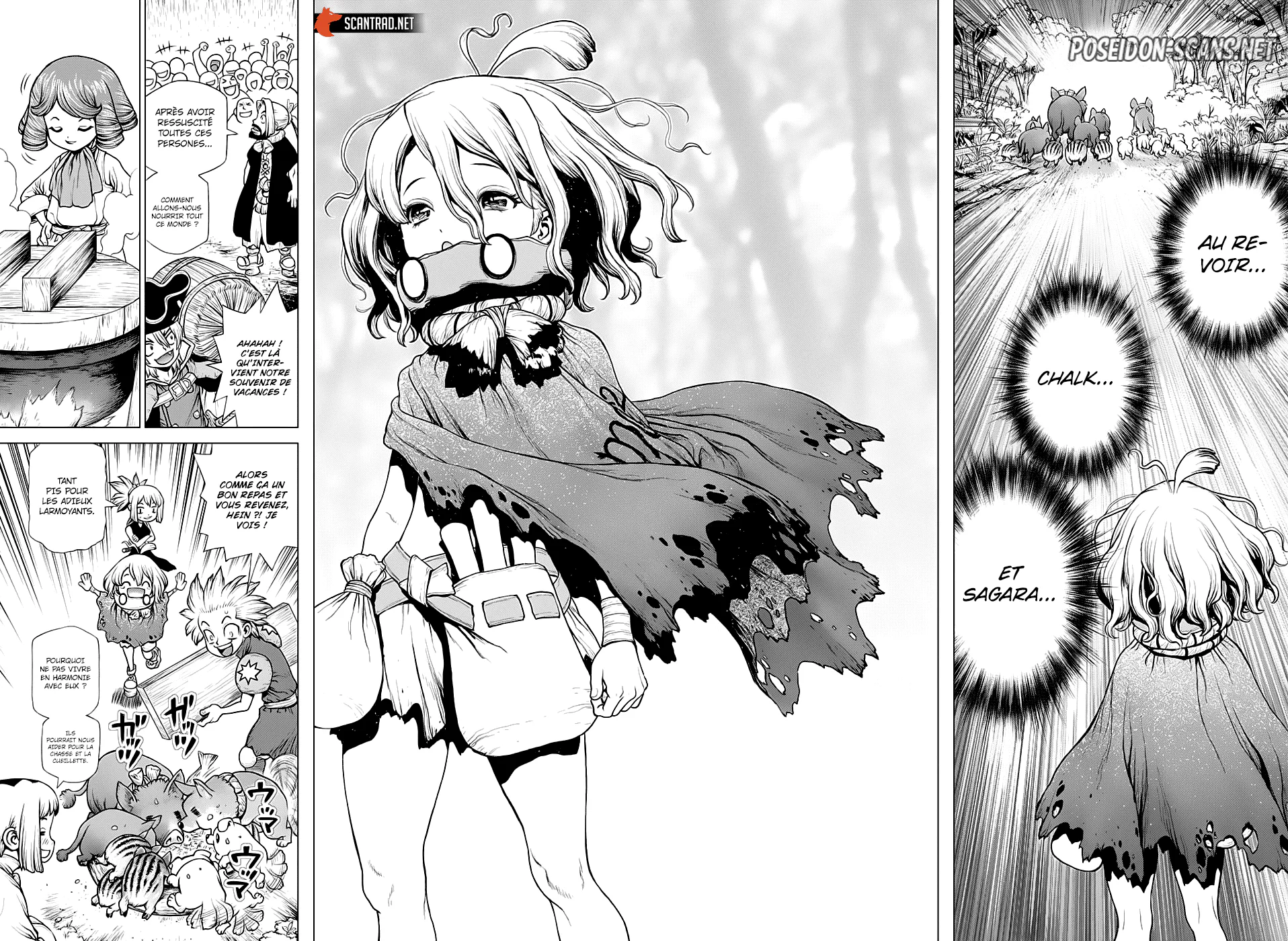 Dr. STONE Chapitre 212 - Page 13