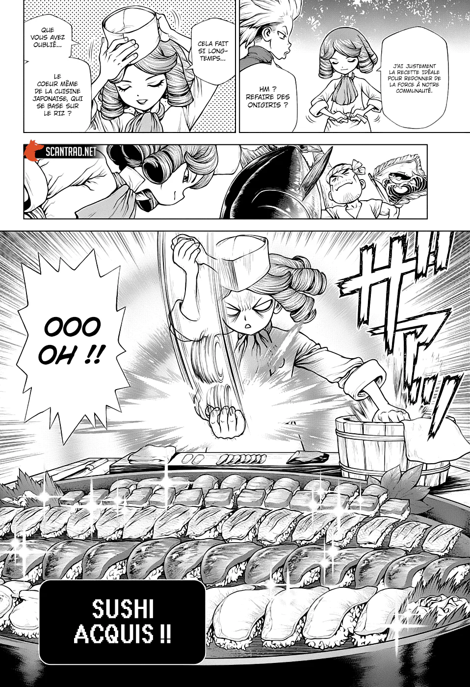Dr. STONE Chapitre 212 - Page 14