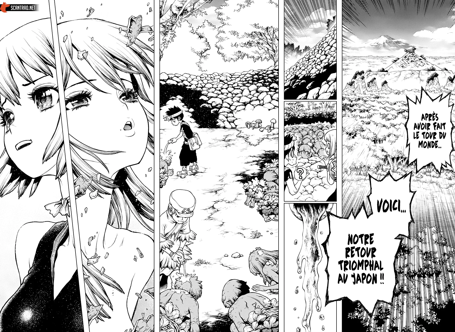 Dr. STONE Chapitre 212 - Page 6