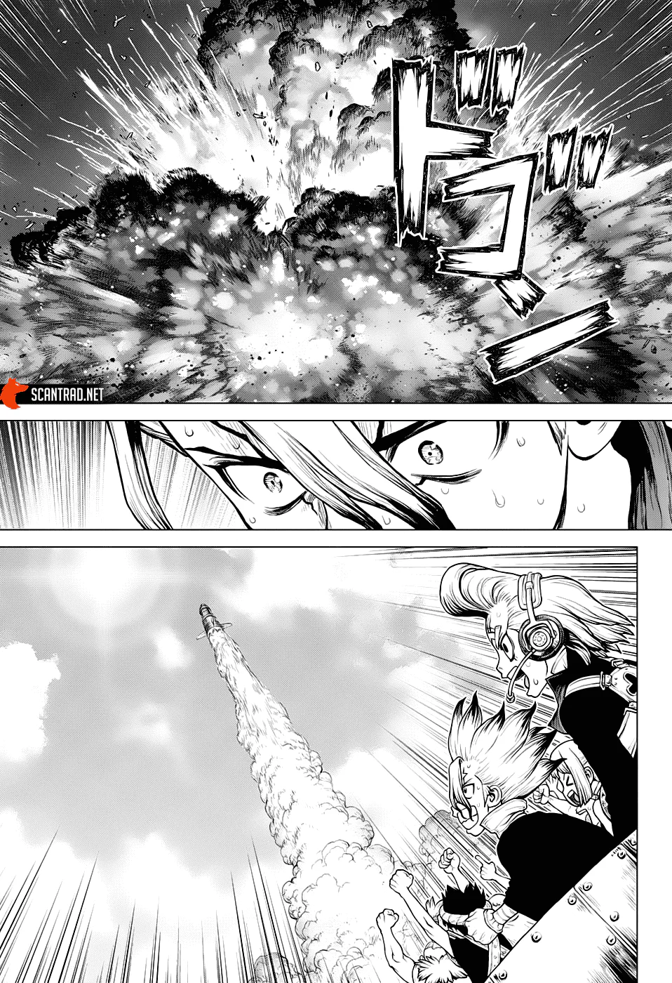 Dr. STONE Chapitre 215 - Page 15