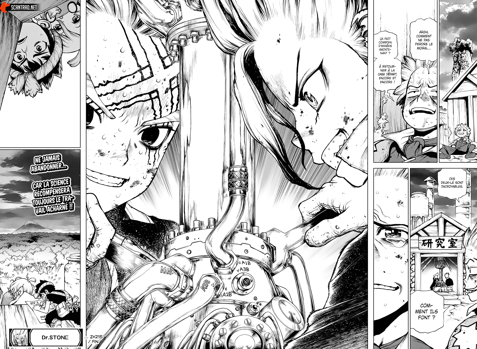 Dr. STONE Chapitre 215 - Page 17