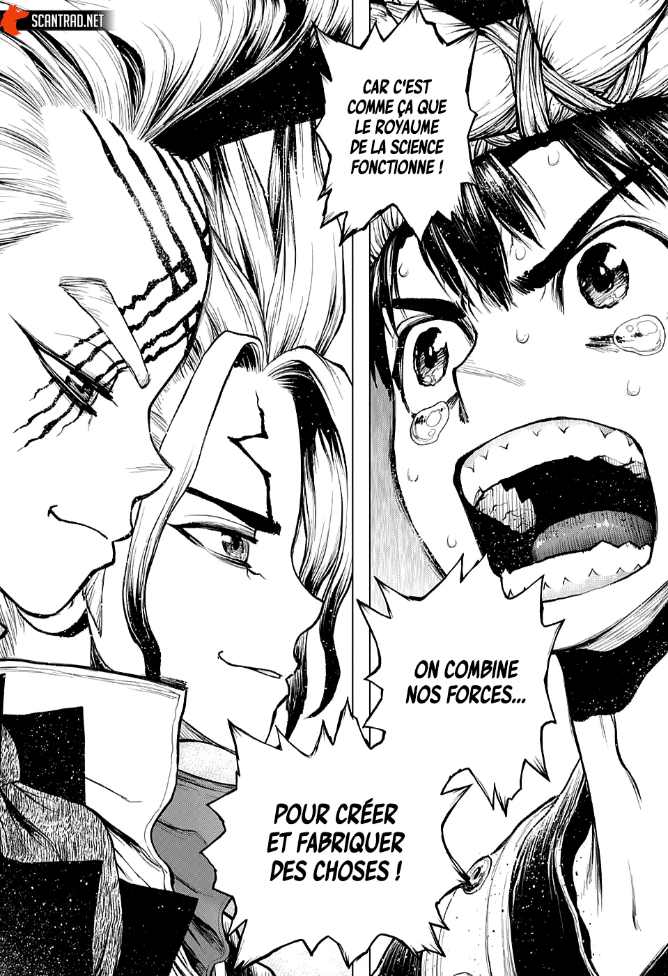 Dr. STONE Chapitre 217 - Page 11