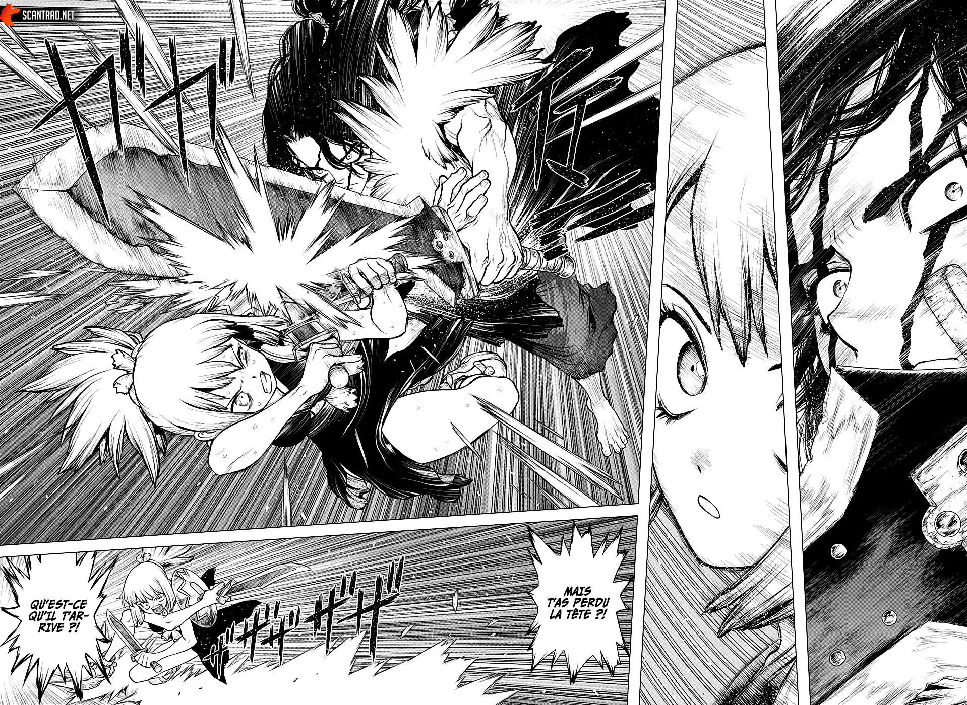 Dr. STONE Chapitre 219 - Page 14