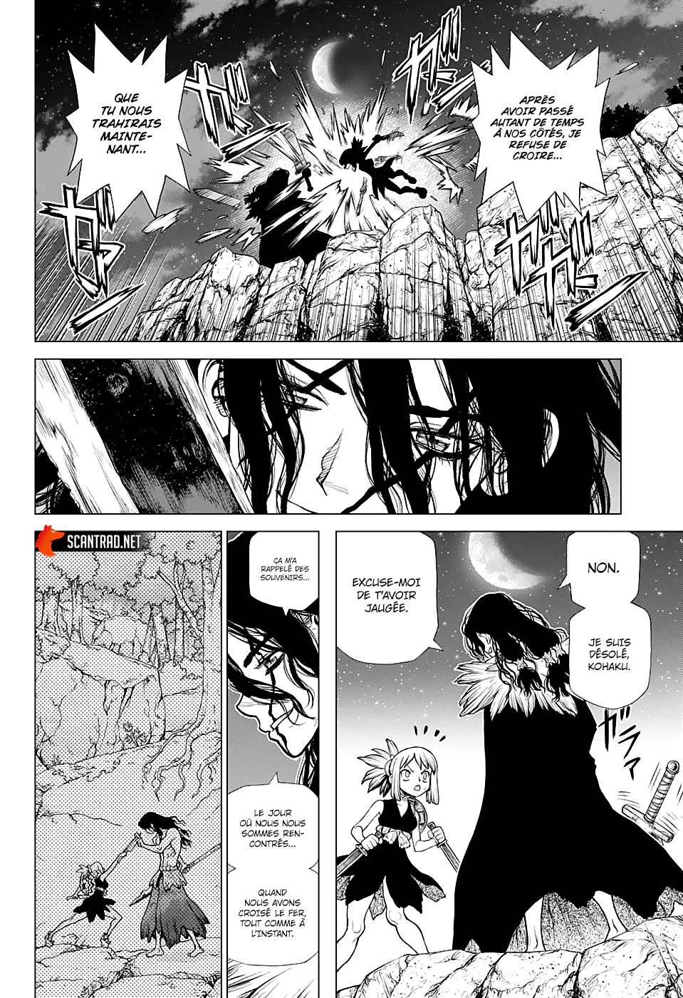 Dr. STONE Chapitre 219 - Page 15