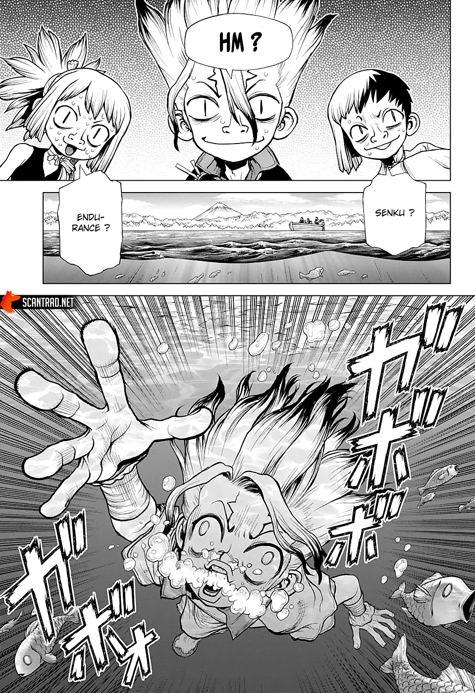 Dr. STONE Chapitre 219 - Page 5