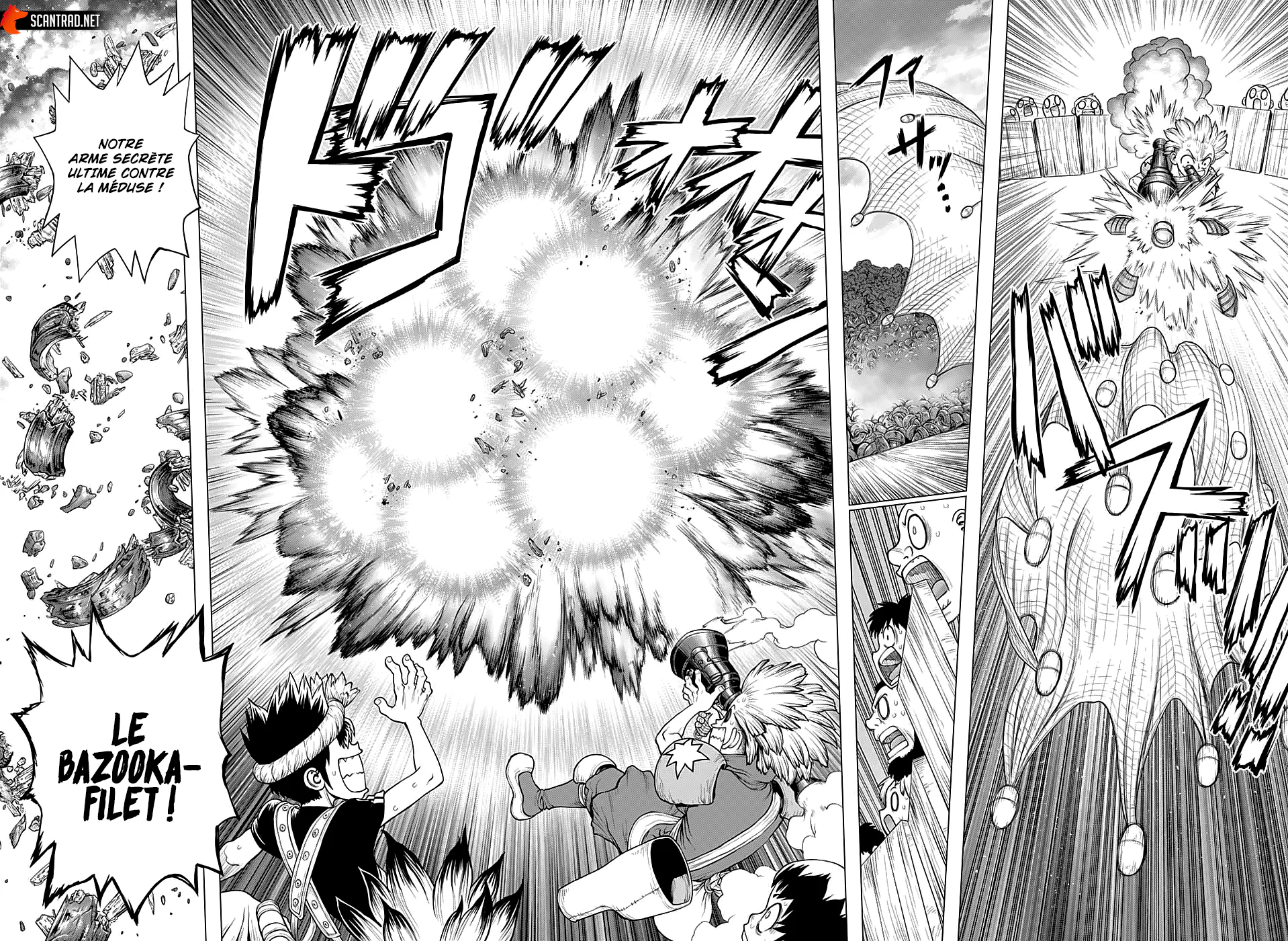 Dr. STONE Chapitre 220 - Page 12