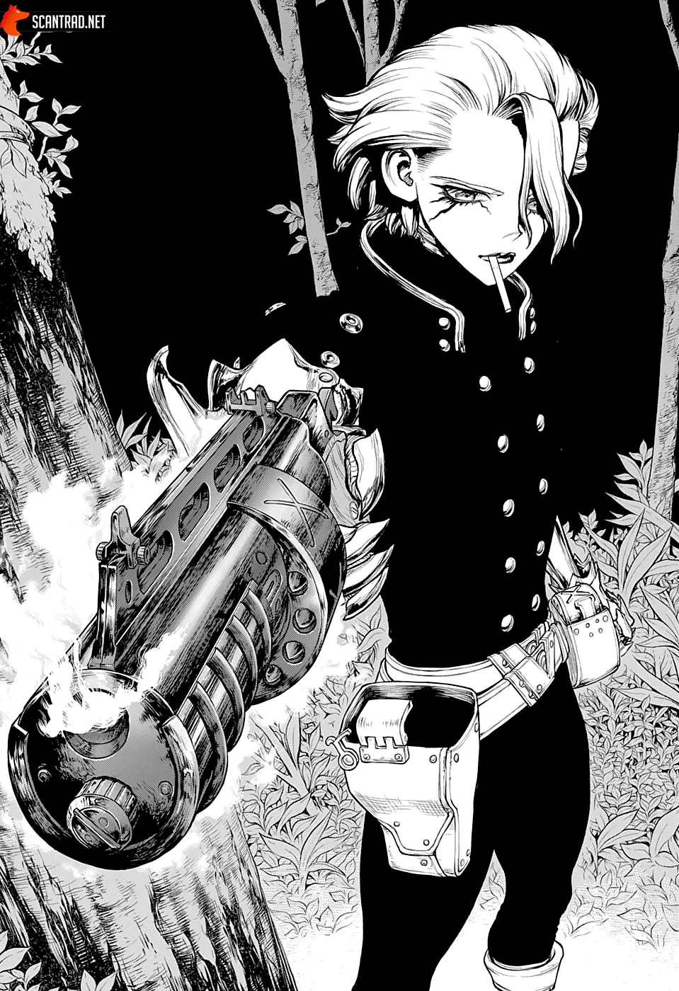 Dr. STONE Chapitre 221 - Page 17