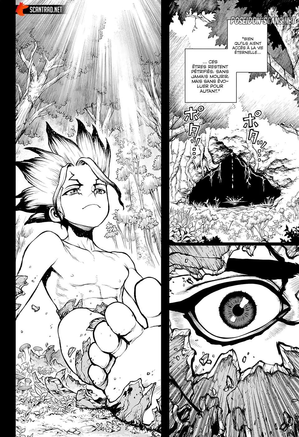 Dr. STONE Chapitre 229 - Page 13