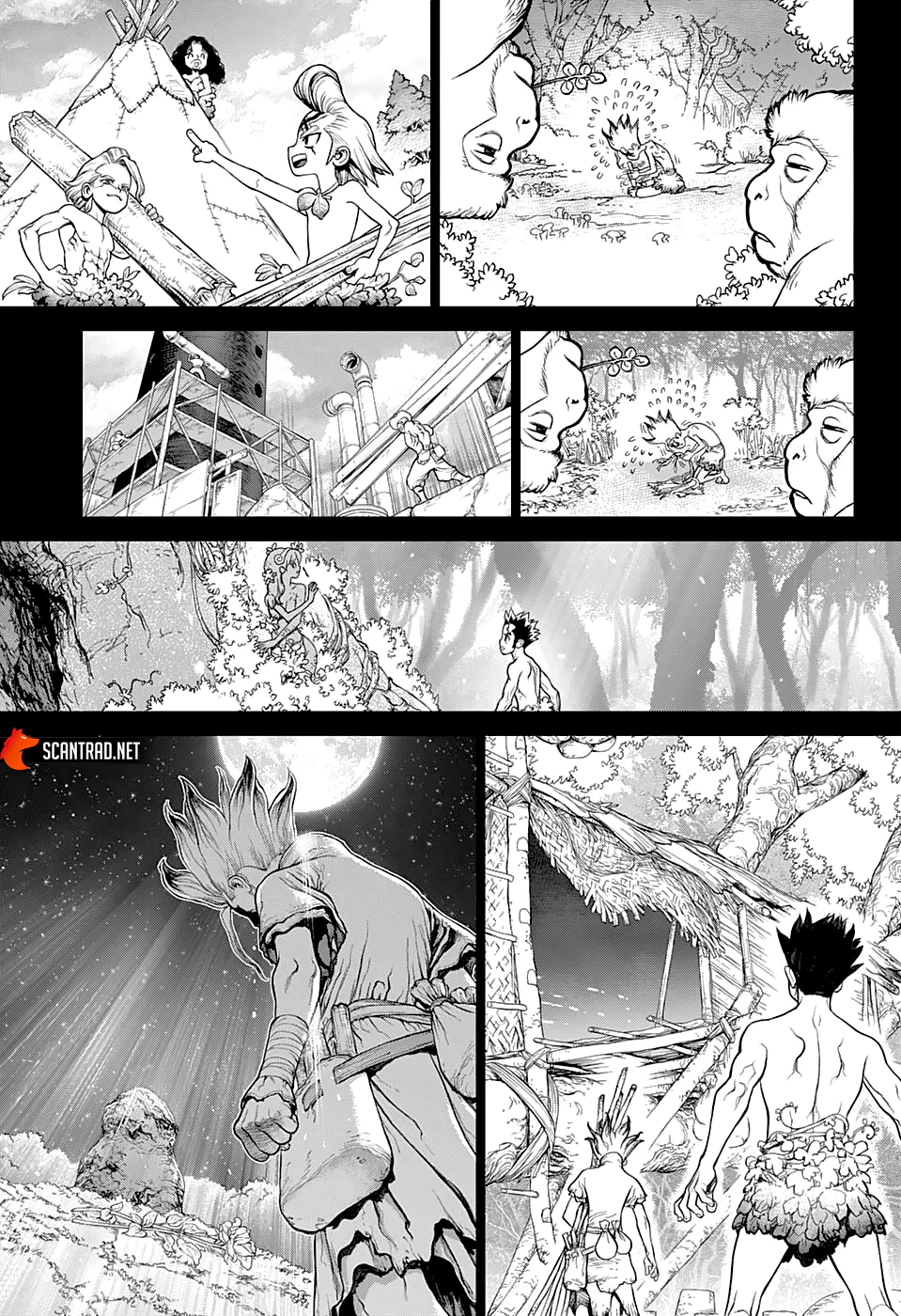 Dr. STONE Chapitre 229 - Page 14