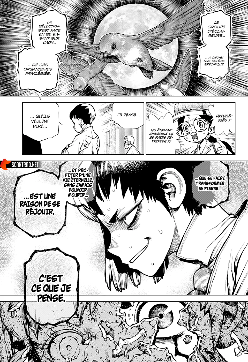 Dr. STONE Chapitre 229 - Page 5