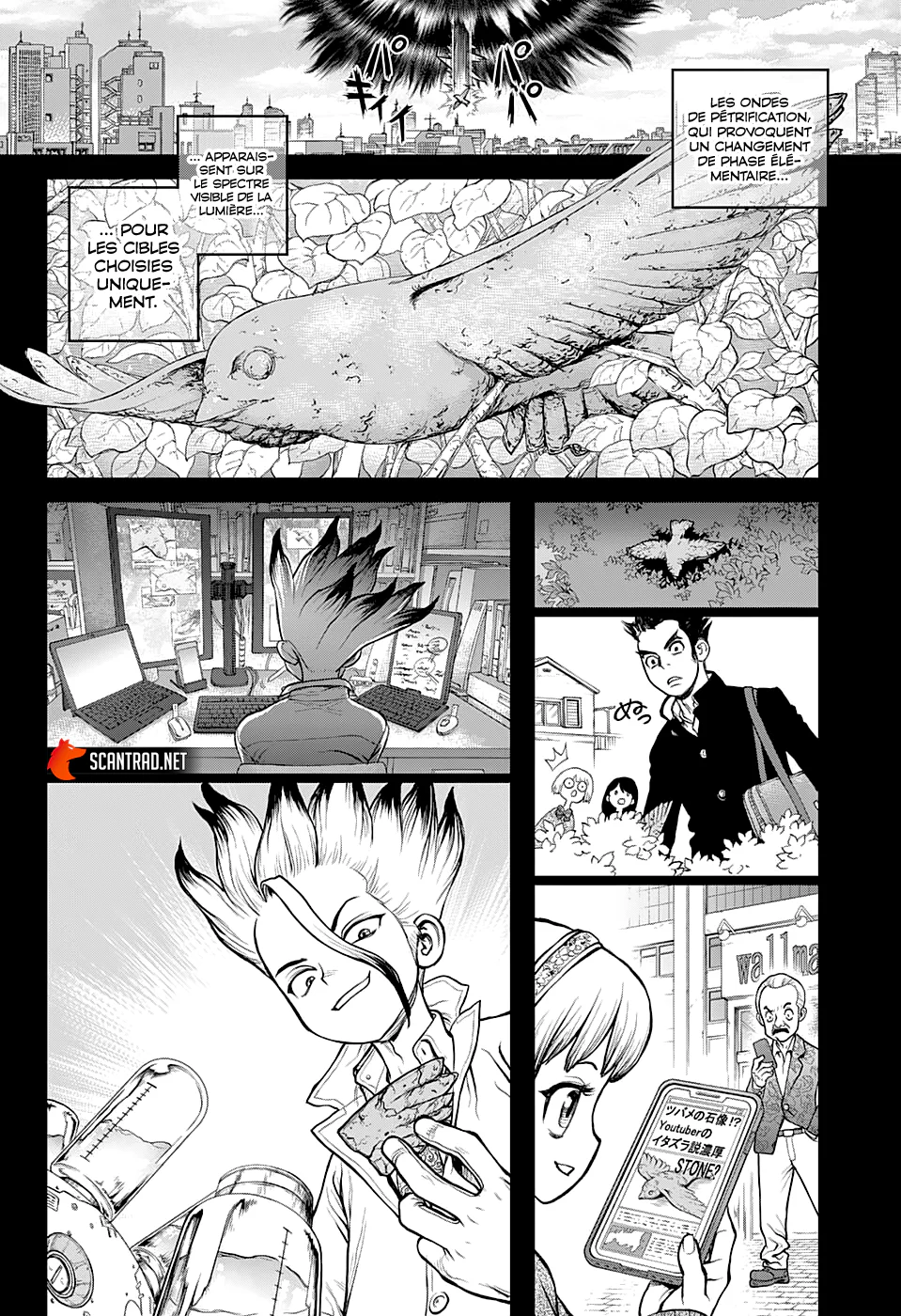 Dr. STONE Chapitre 229 - Page 6