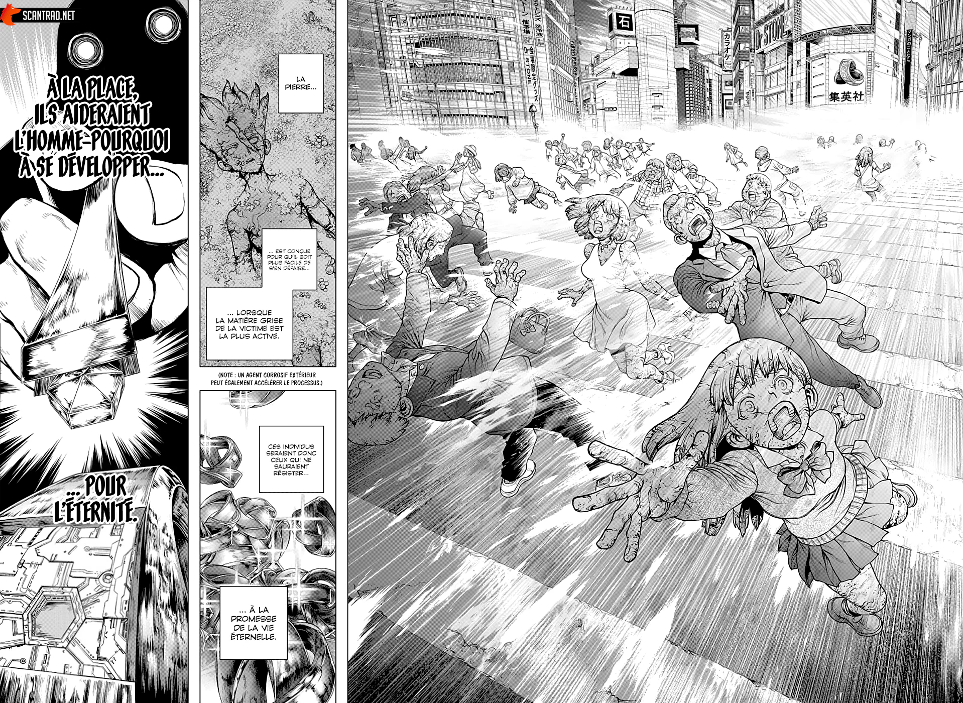 Dr. STONE Chapitre 229 - Page 8