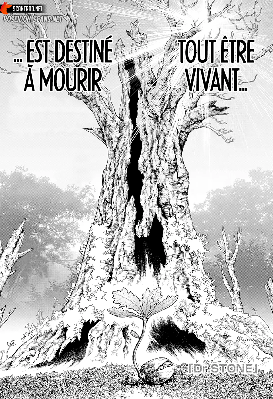 Dr. STONE Chapitre 230 - Page 1