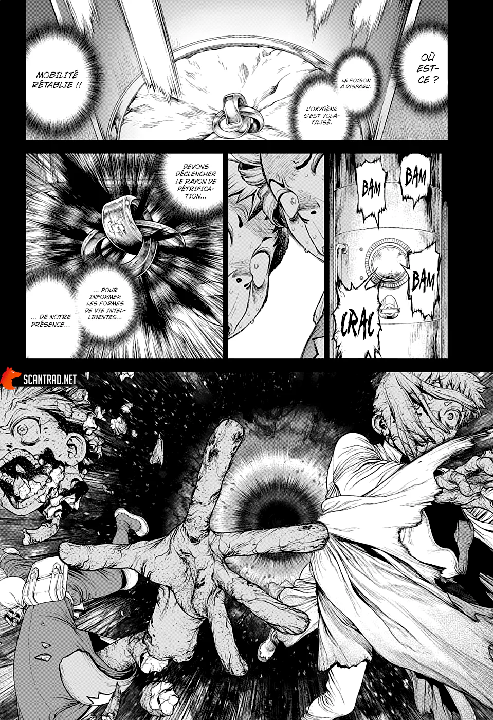 Dr. STONE Chapitre 230 - Page 8