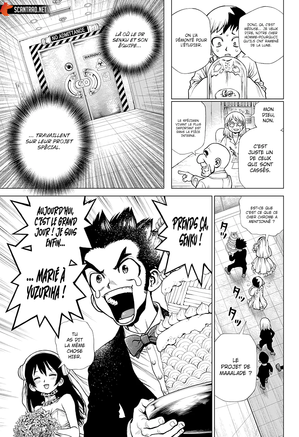 Dr. STONE Chapitre 232 - Page 12