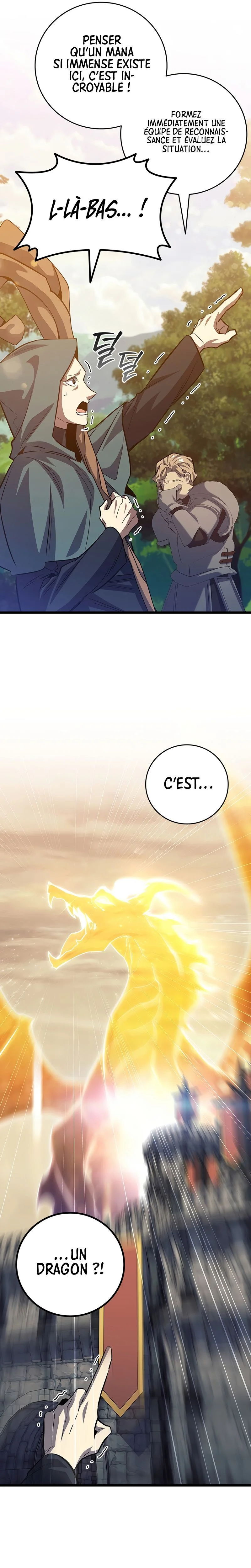 Dragon-Devouring Mage Chapitre 119 - Page 10