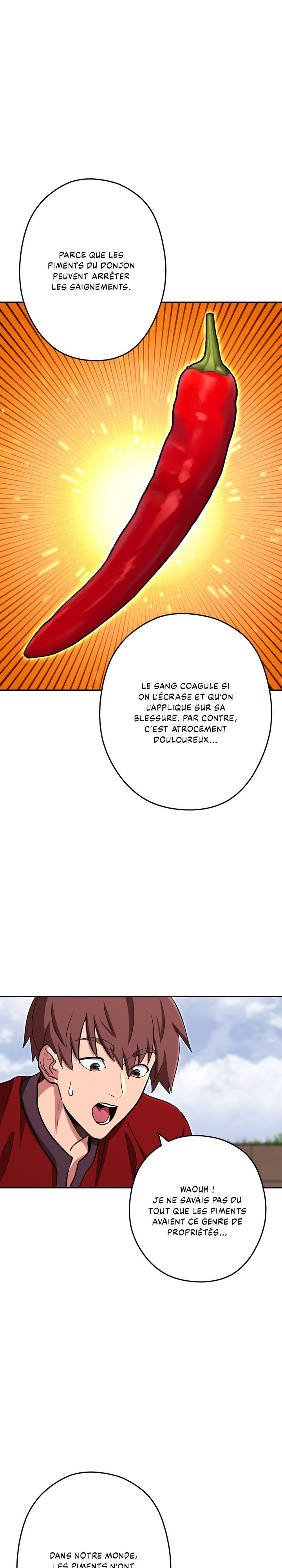 Dungeon Reset Chapitre 120 - Page 7