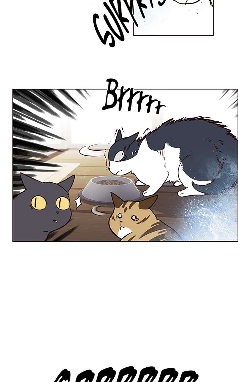 Eleceed Chapitre 6 - Page 55