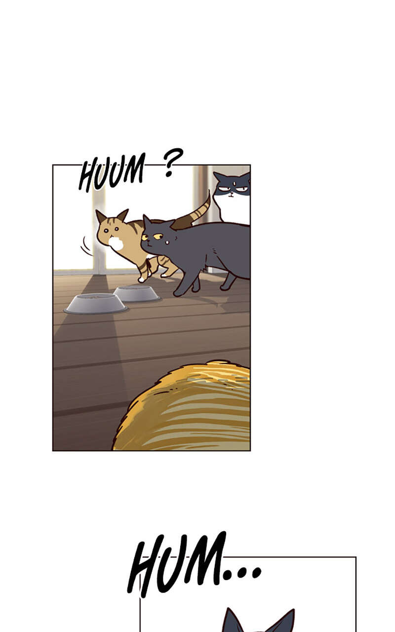 Eleceed Chapitre 6 - Page 61