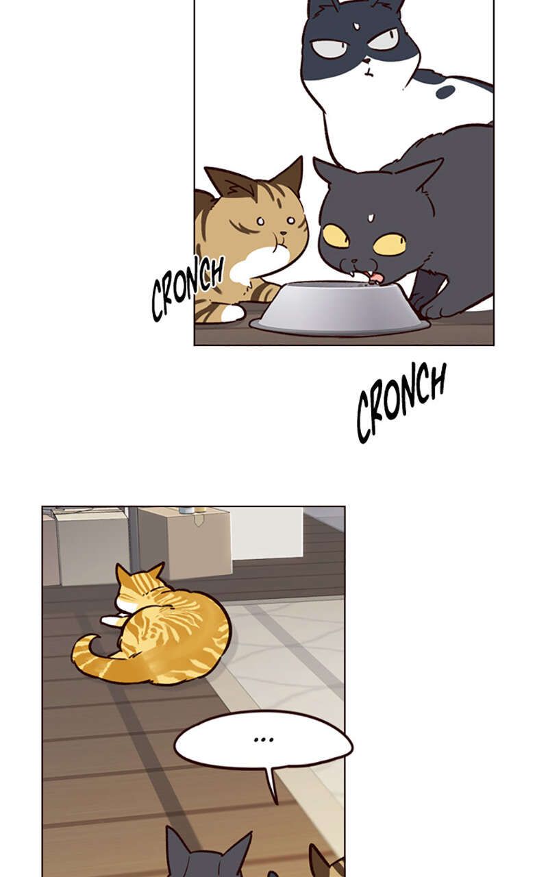 Eleceed Chapitre 6 - Page 62