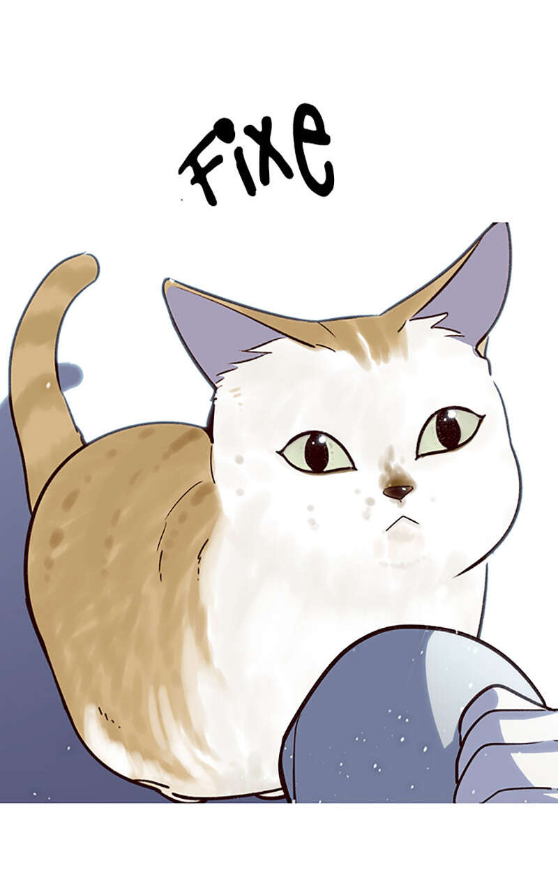 Eleceed Chapitre 7 - Page 18