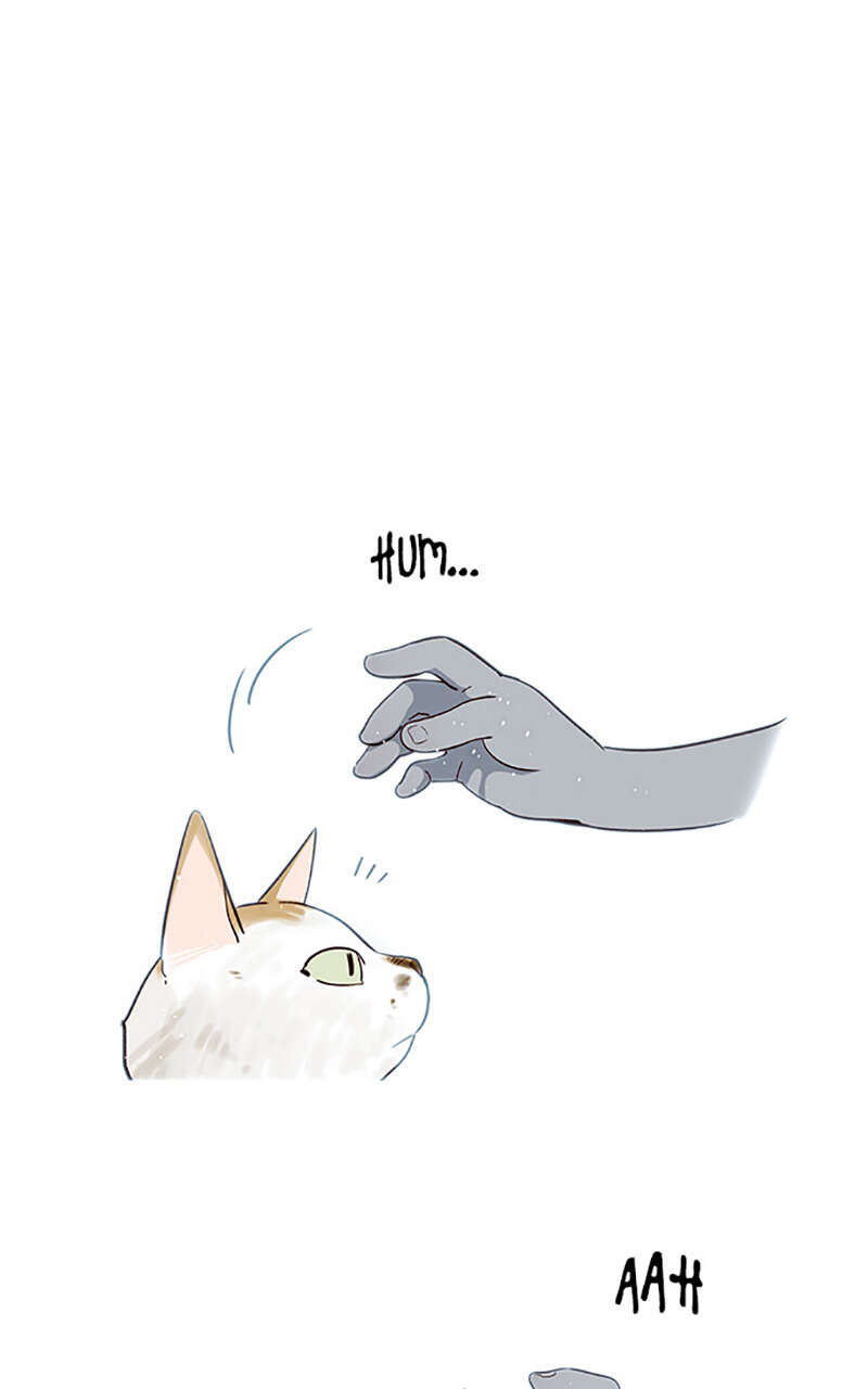 Eleceed Chapitre 7 - Page 19