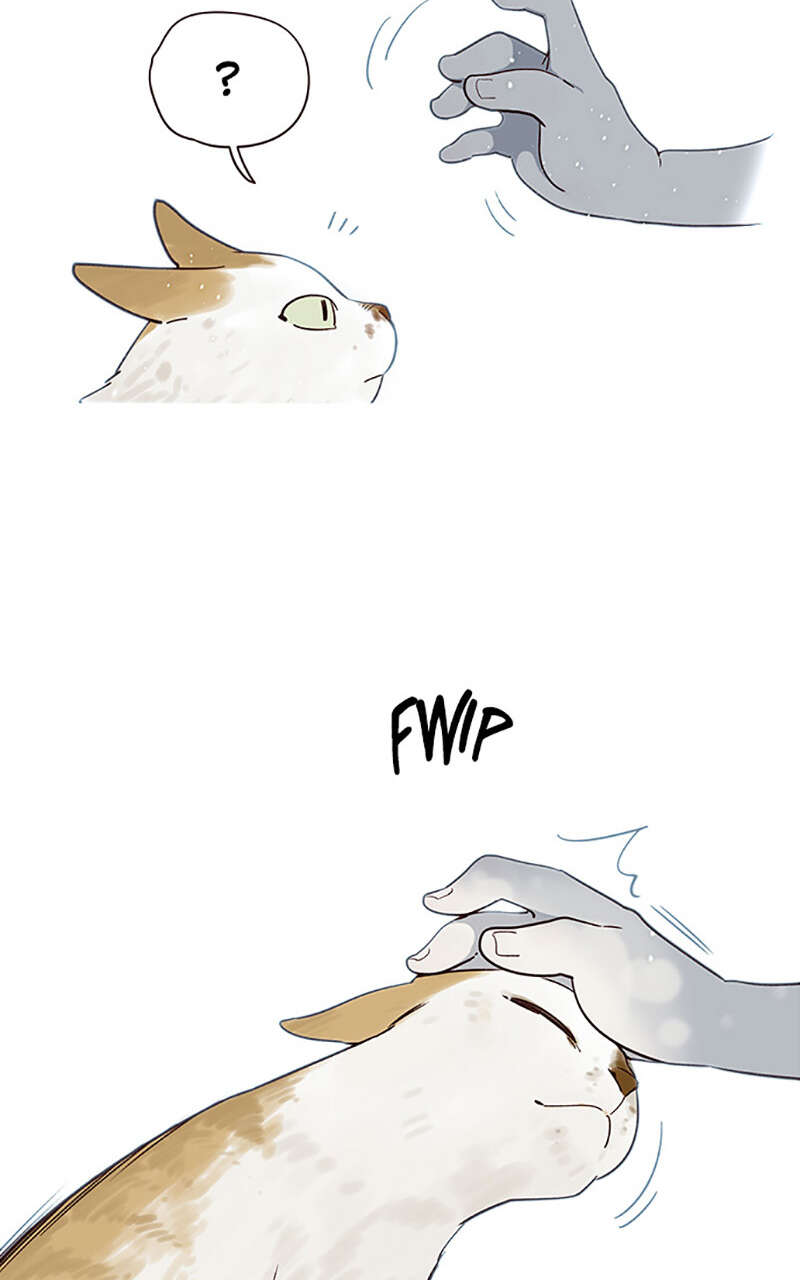 Eleceed Chapitre 7 - Page 20