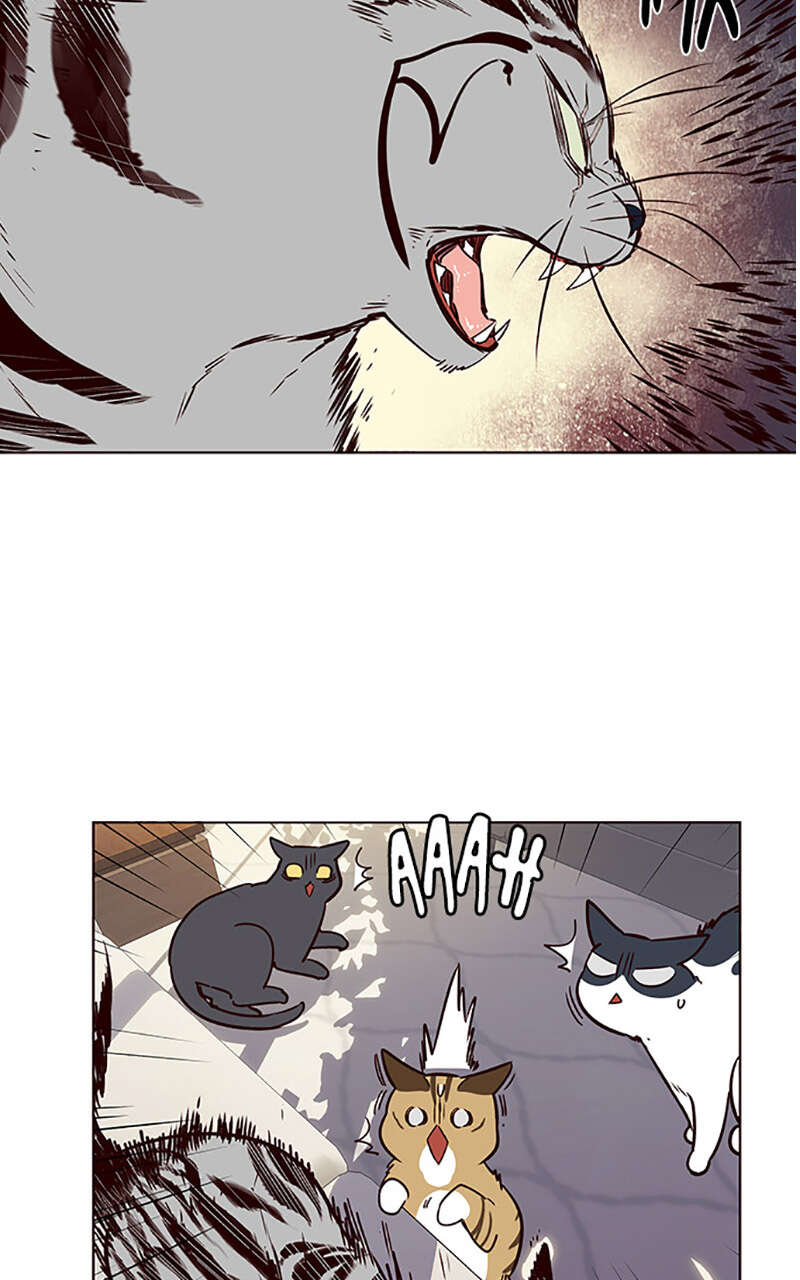Eleceed Chapitre 7 - Page 59