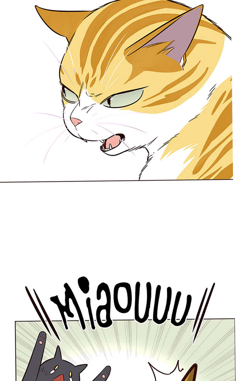 Eleceed Chapitre 7 - Page 70