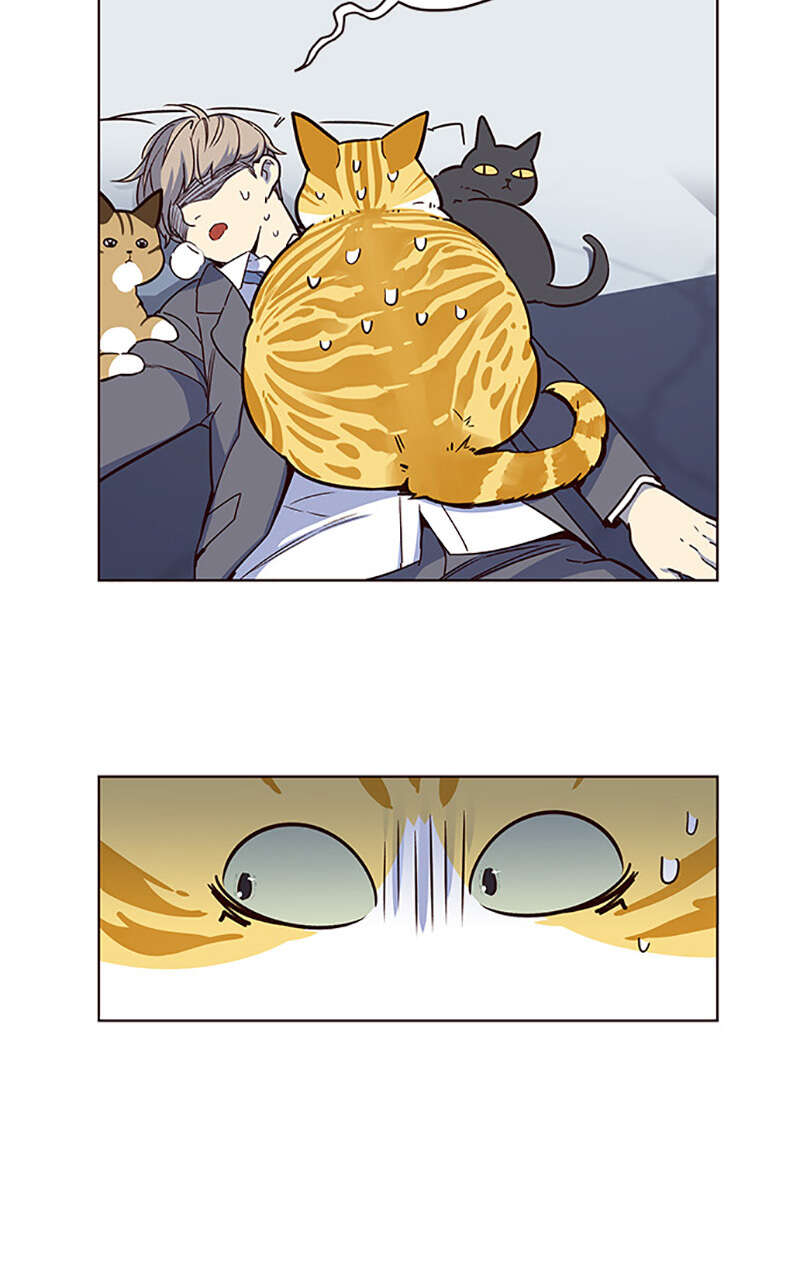 Eleceed Chapitre 8 - Page 39