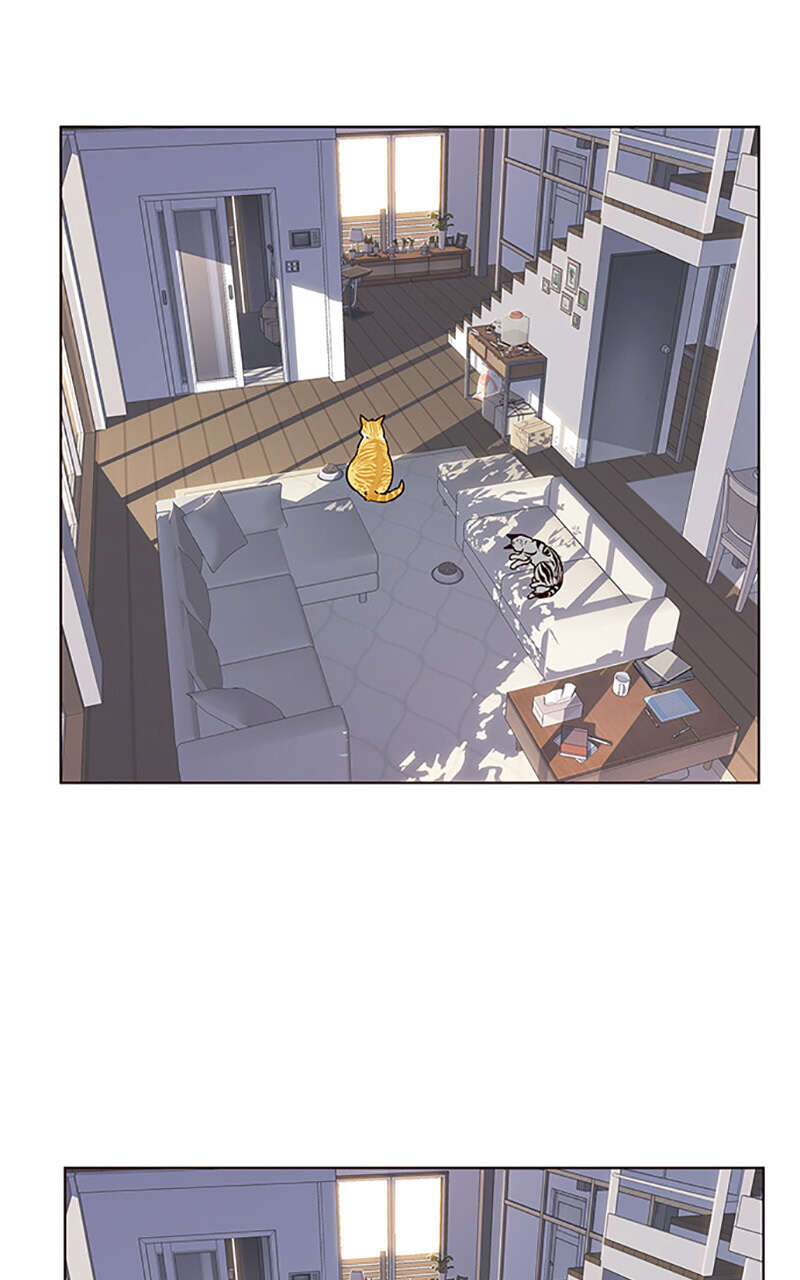 Eleceed Chapitre 9 - Page 17