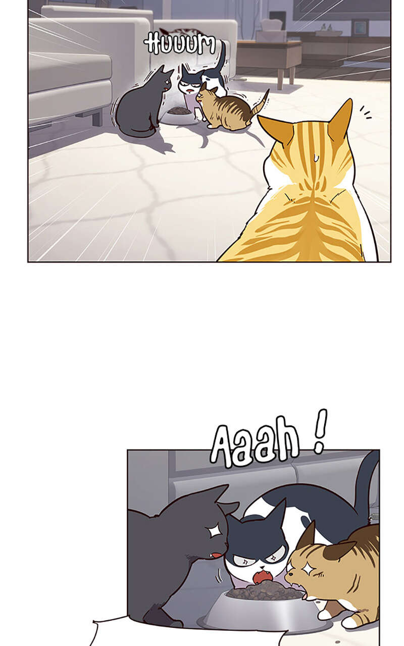 Eleceed Chapitre 9 - Page 29