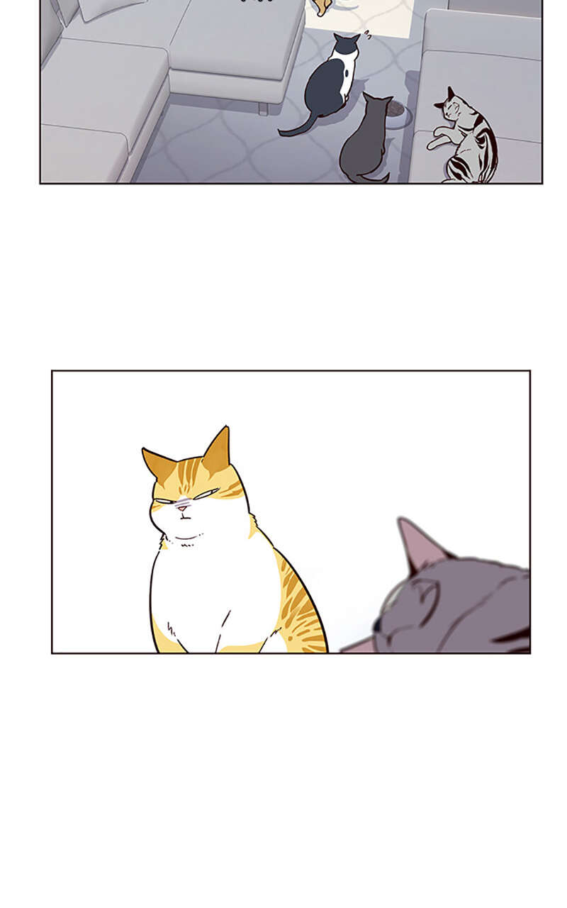 Eleceed Chapitre 9 - Page 32