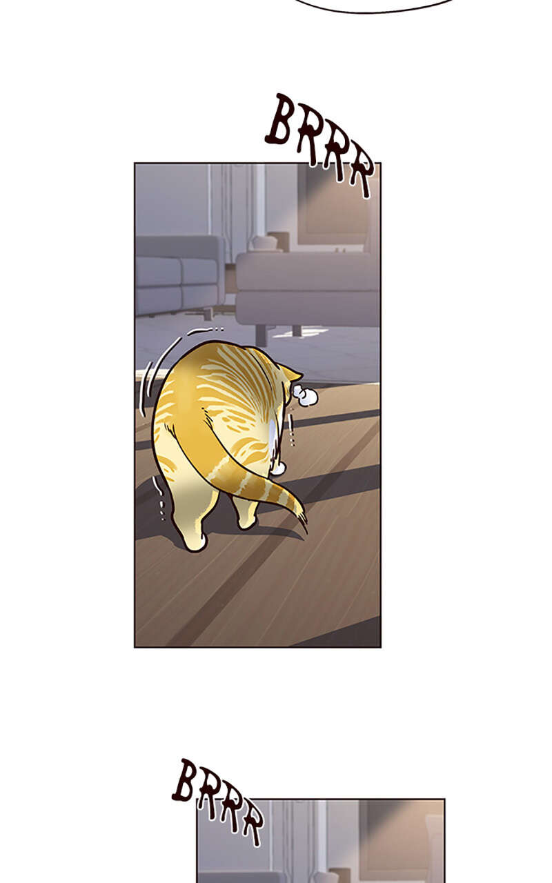 Eleceed Chapitre 11 - Page 32
