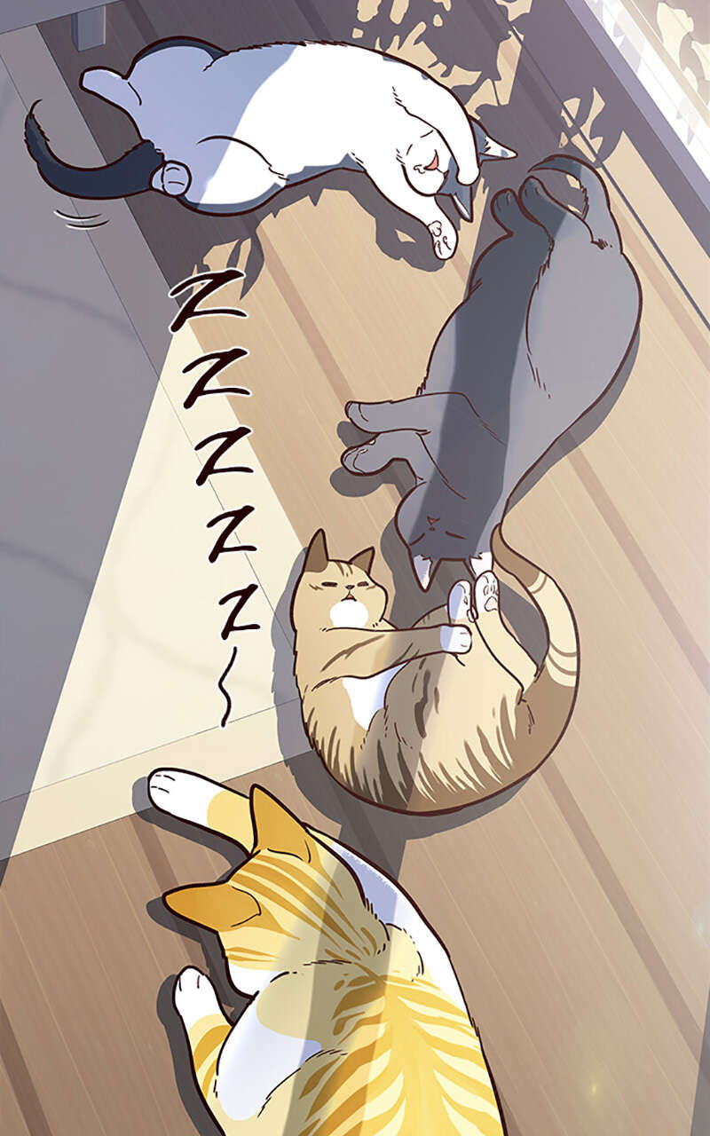 Eleceed Chapitre 11 - Page 36