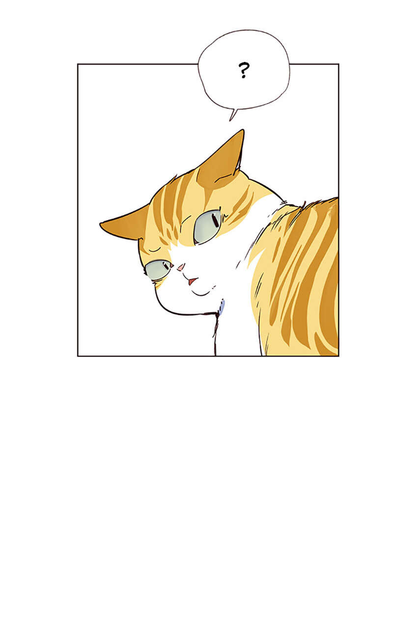 Eleceed Chapitre 13 - Page 90