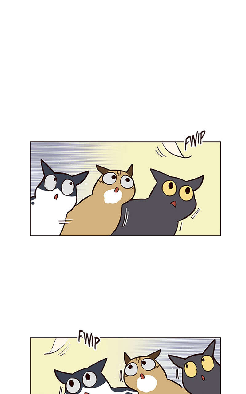 Eleceed Chapitre 16 - Page 9