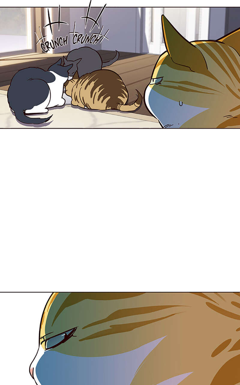Eleceed Chapitre 17 - Page 46