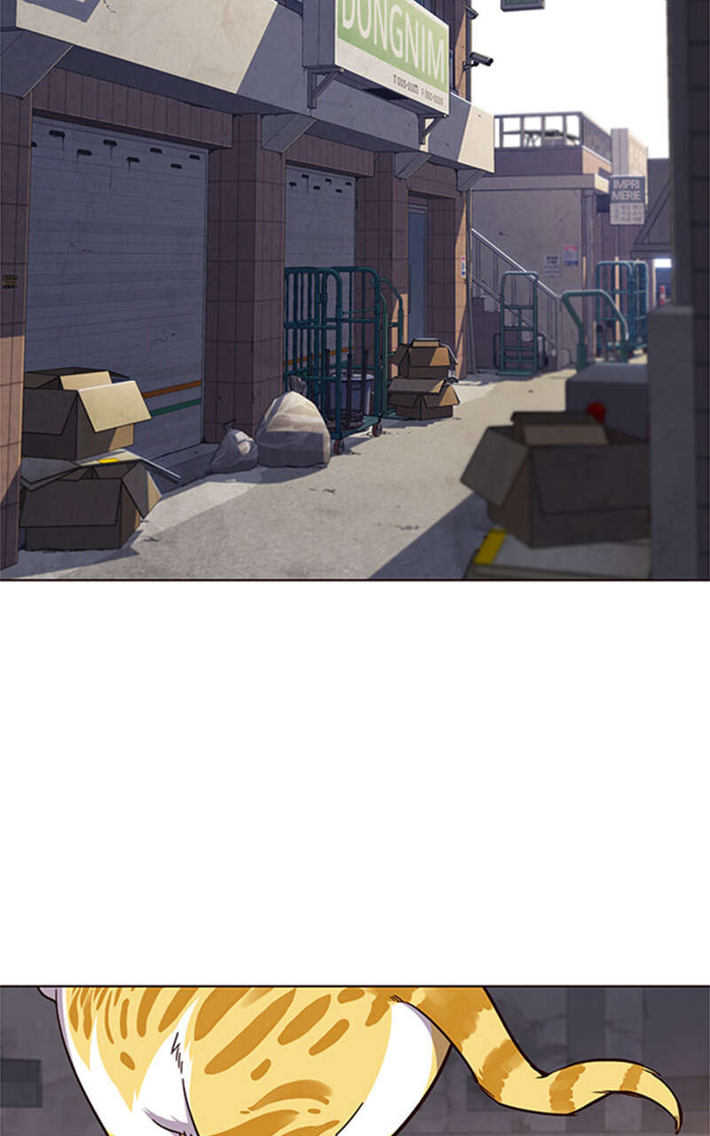 Eleceed Chapitre 19 - Page 66