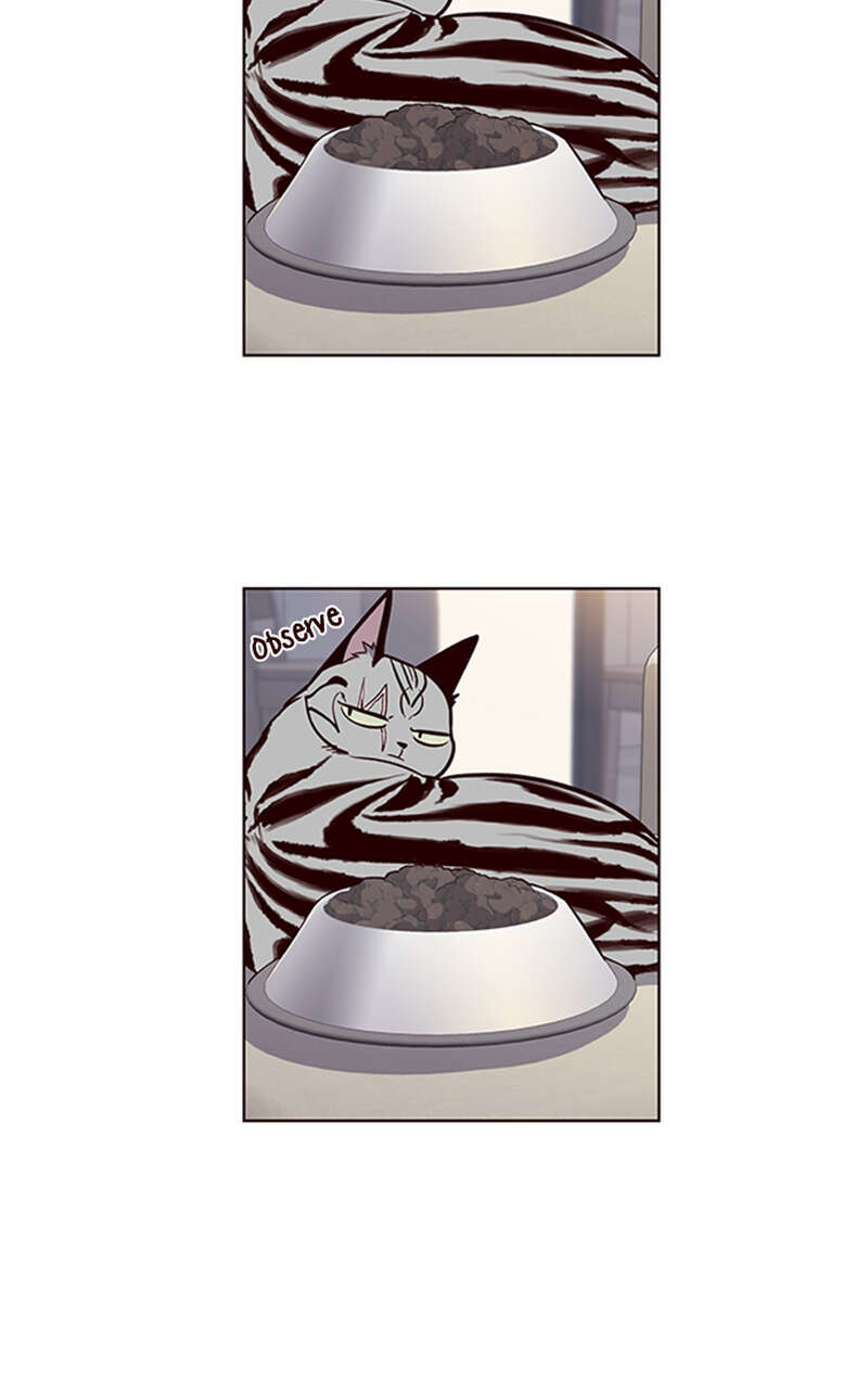 Eleceed Chapitre 22 - Page 27