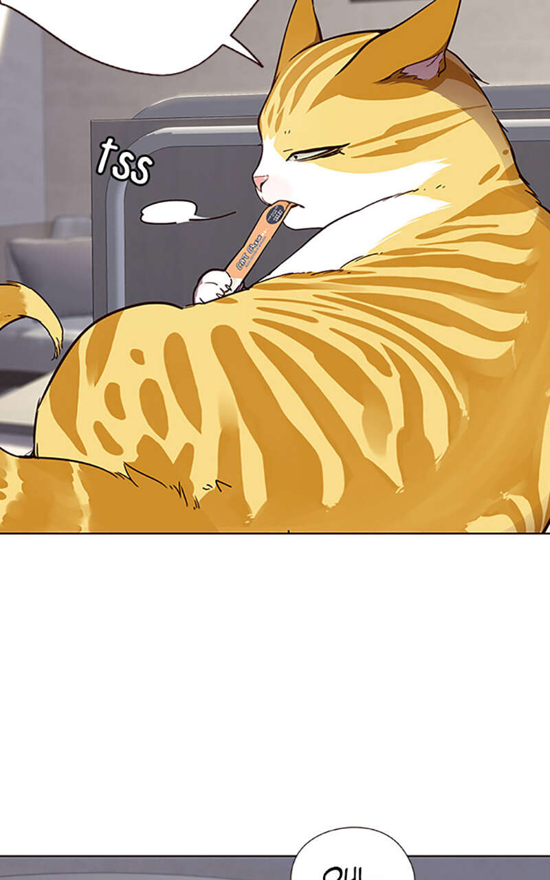 Eleceed Chapitre 28 - Page 17