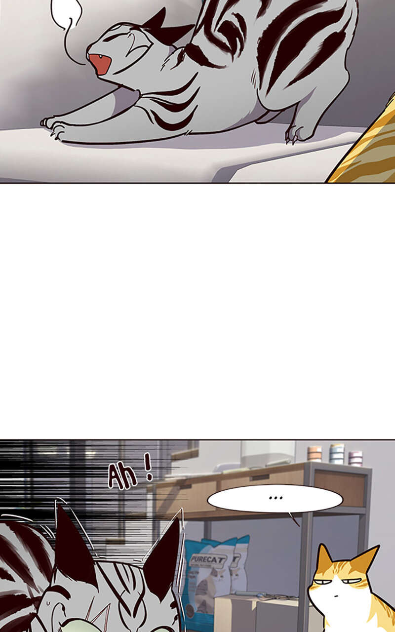 Eleceed Chapitre 37 - Page 40