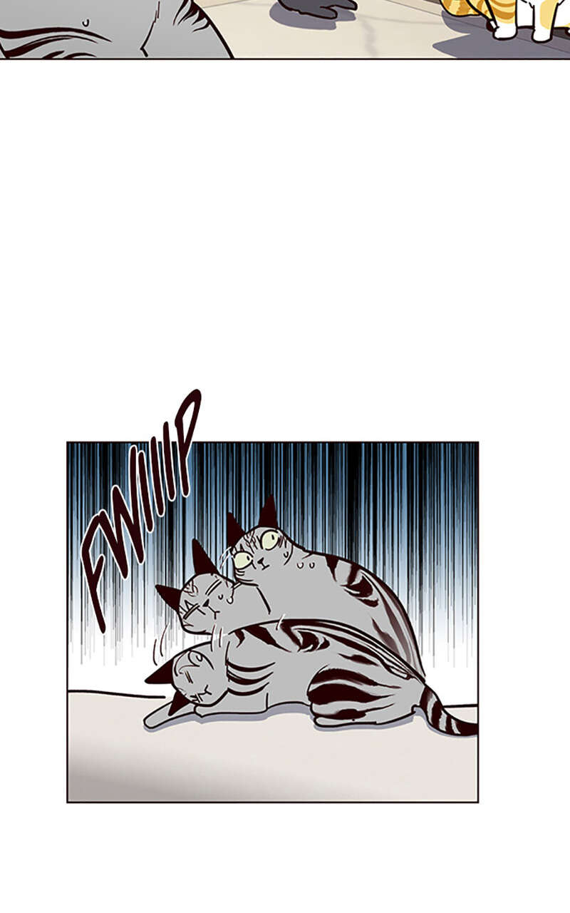 Eleceed Chapitre 37 - Page 42