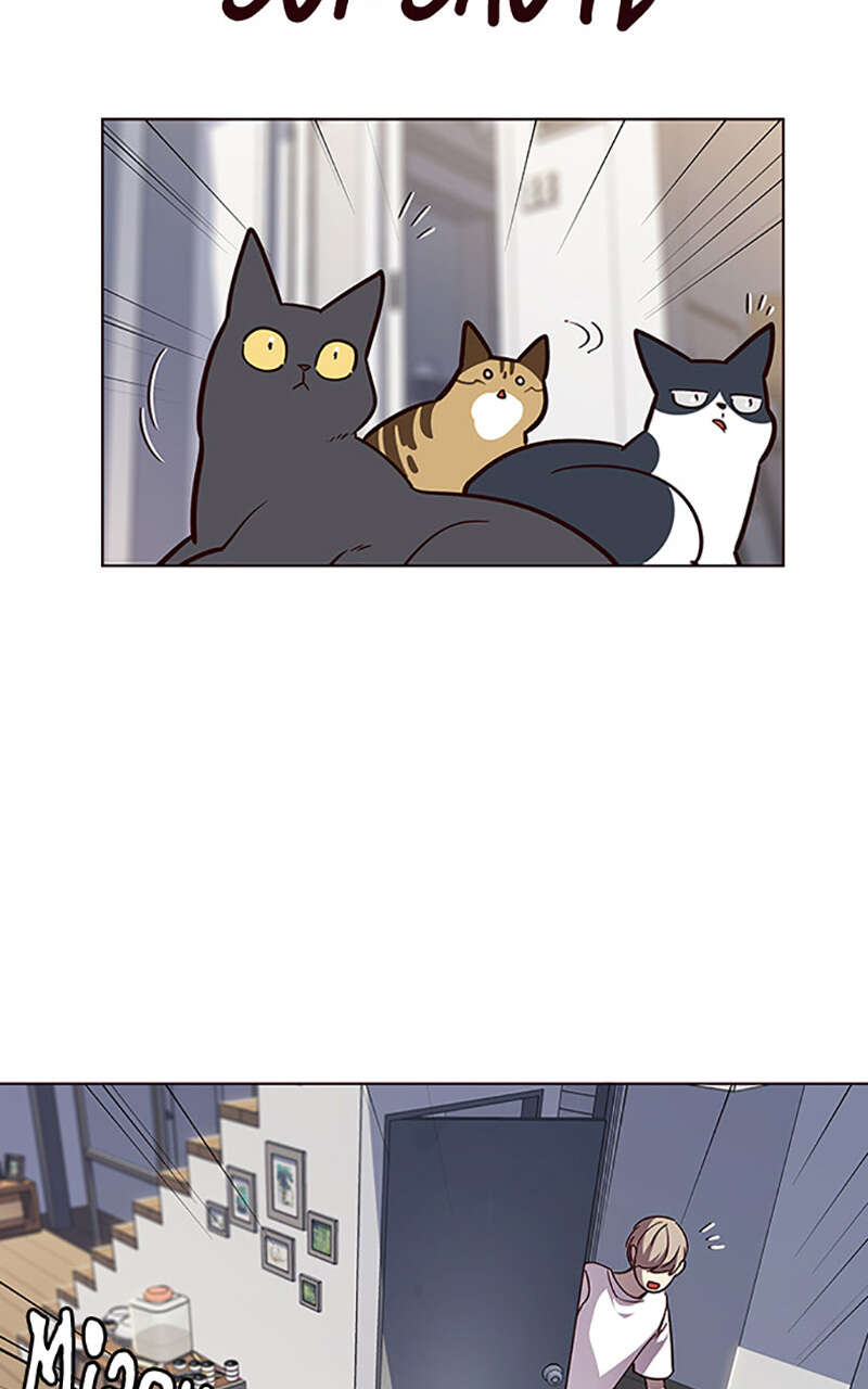 Eleceed Chapitre 55 - Page 12