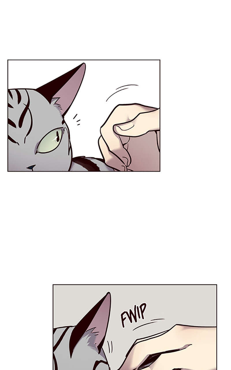 Eleceed Chapitre 55 - Page 17