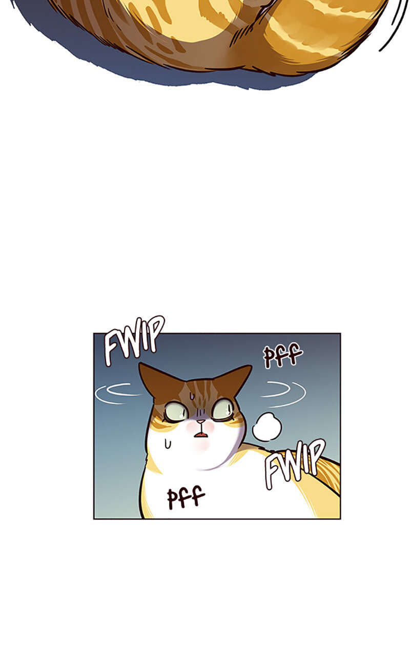 Eleceed Chapitre 56 - Page 16