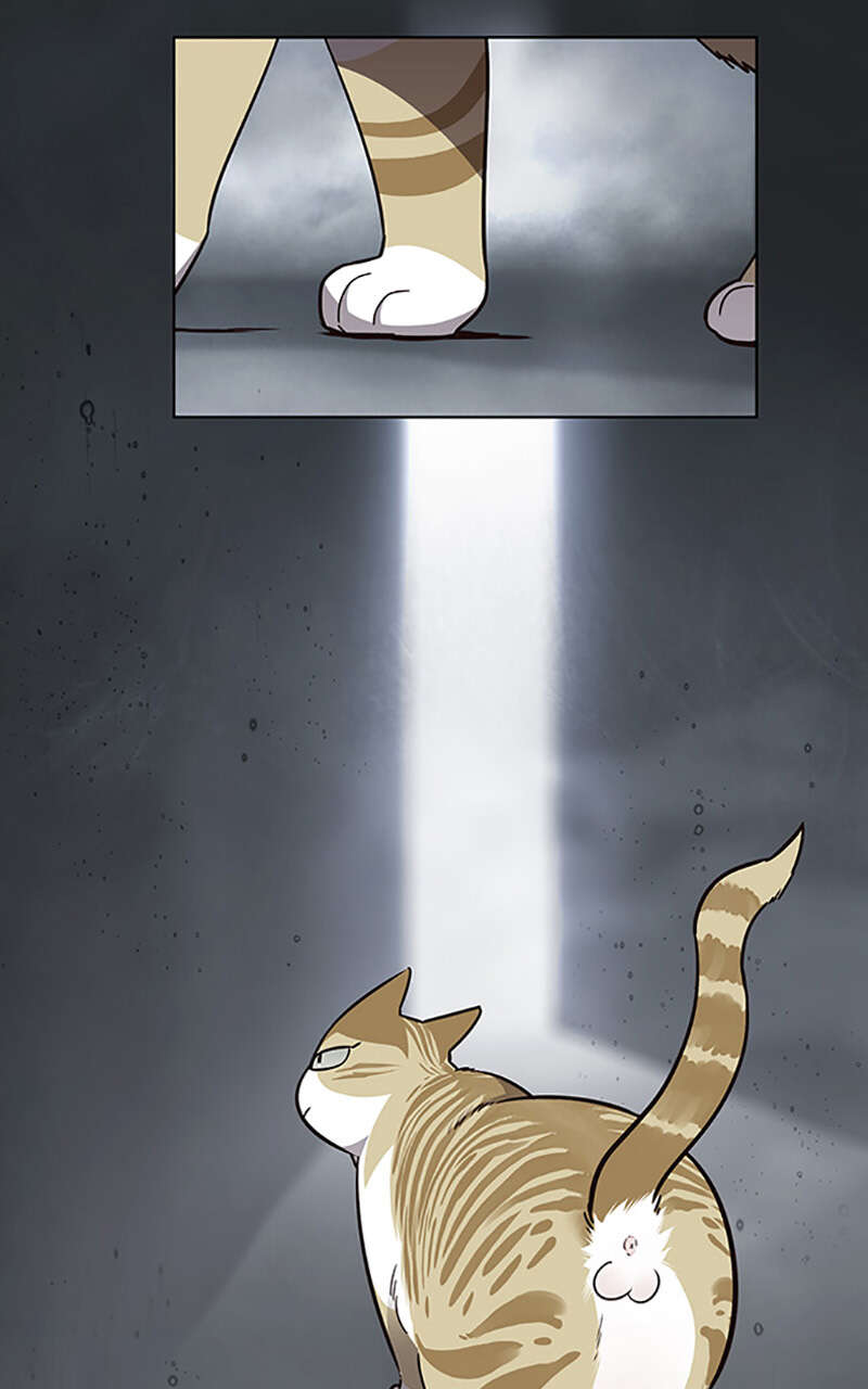 Eleceed Chapitre 56 - Page 2