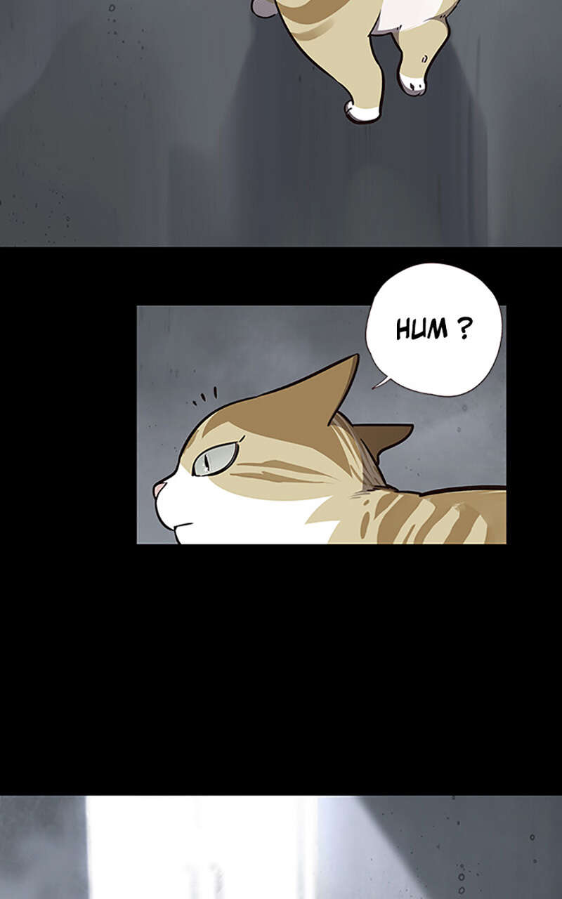Eleceed Chapitre 56 - Page 3