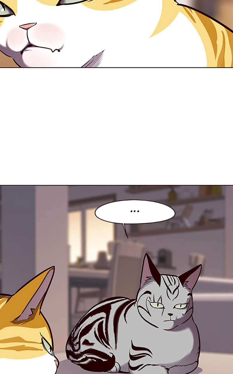 Eleceed Chapitre 56 - Page 60