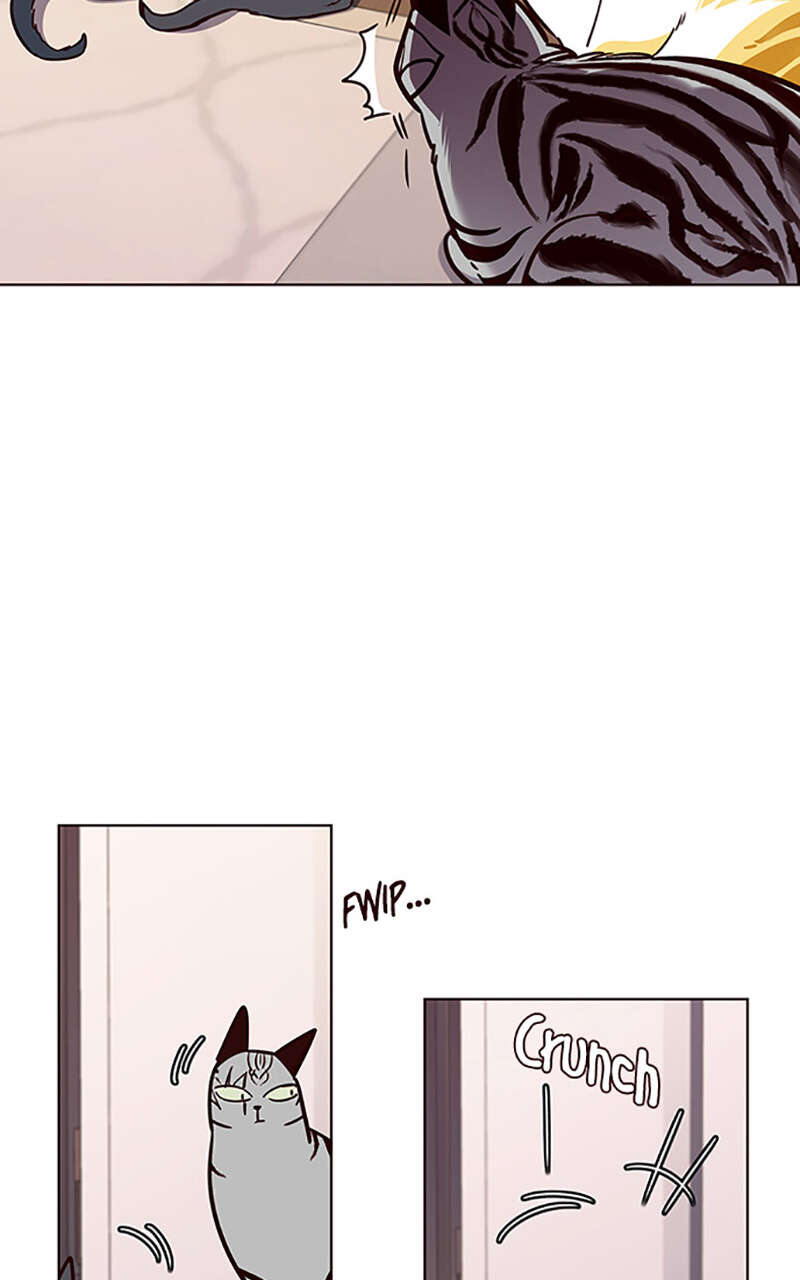 Eleceed Chapitre 56 - Page 62